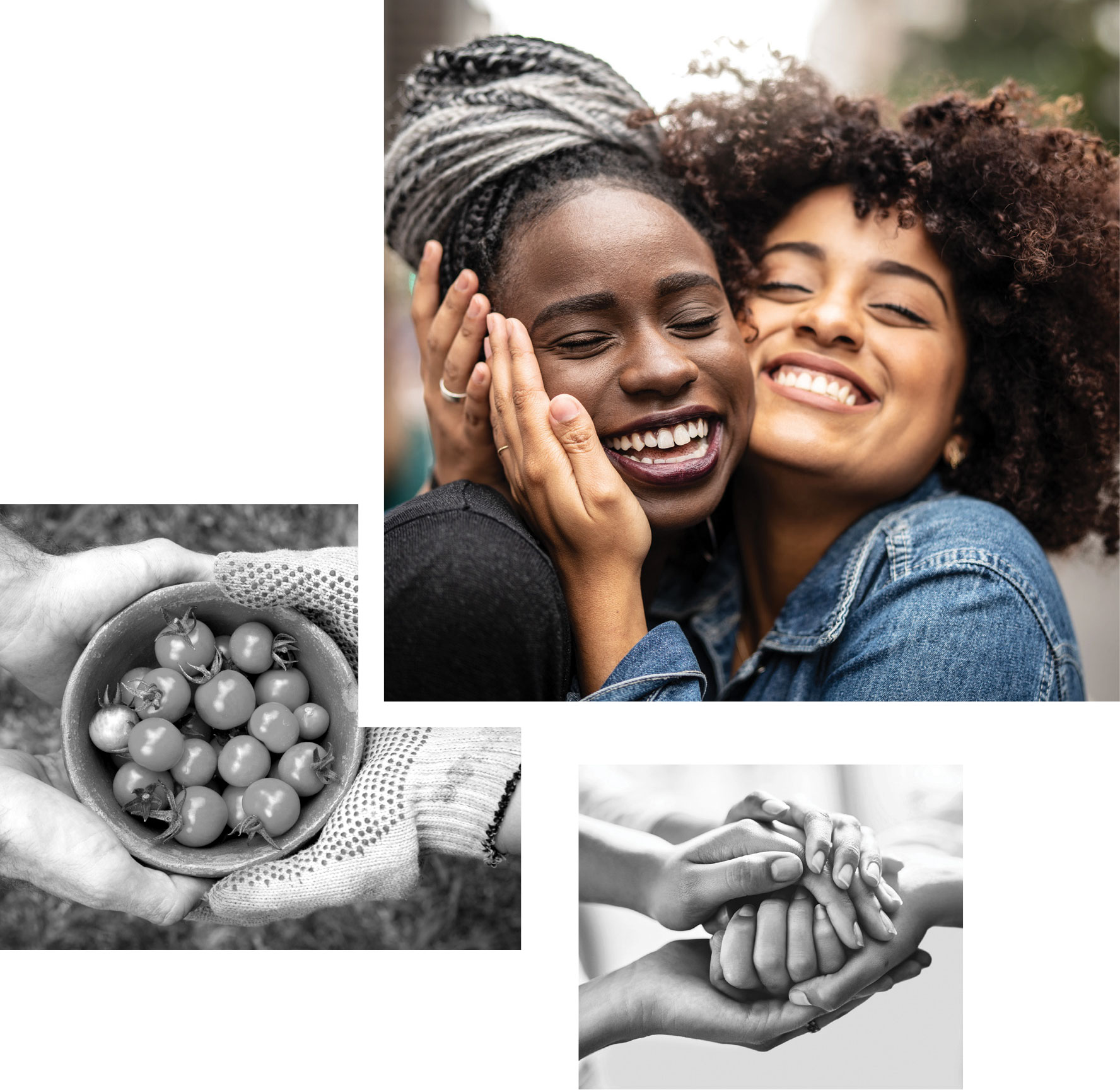 collage of woman hugging tomatoes and hand holding